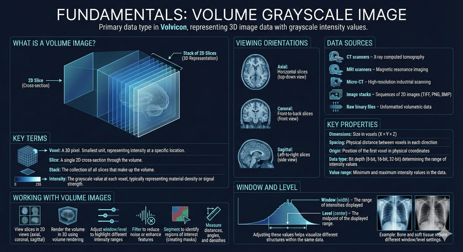 Volume Grayscale Image